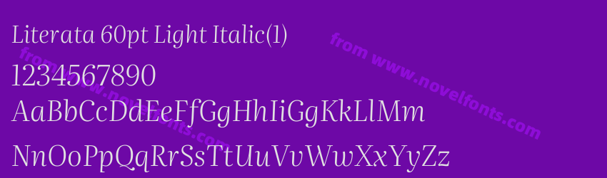 Literata 60pt Light Italic(1)Preview Literata 60pt Light Italic(1)Preview