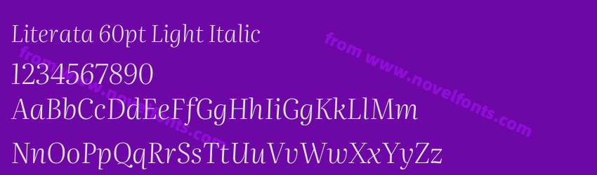 Literata 60pt Light ItalicPreview Literata 60pt Light ItalicPreview