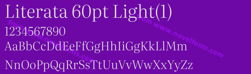 Literata 60pt Light(1)Preview Literata 60pt Light(1)Preview