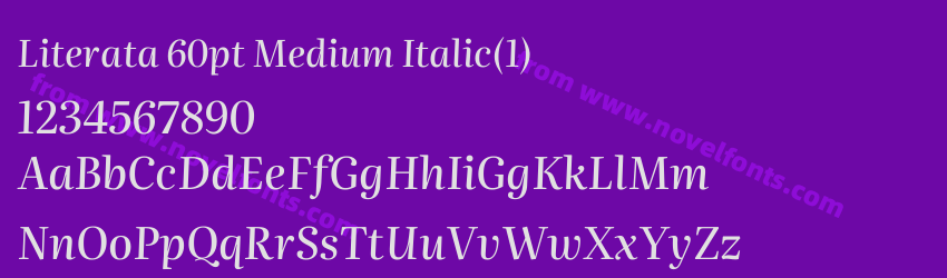 Literata 60pt Medium Italic(1)Preview Literata 60pt Medium Italic(1)Preview