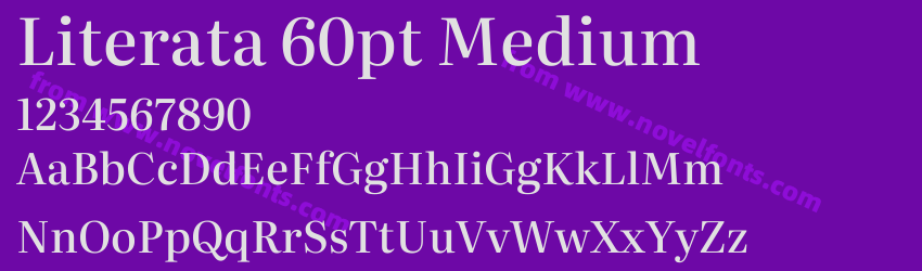 Literata 60pt MediumPreview Literata 60pt MediumPreview