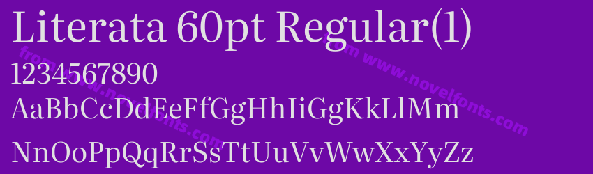 Literata 60pt Regular(1)Preview Literata 60pt Regular(1)Preview