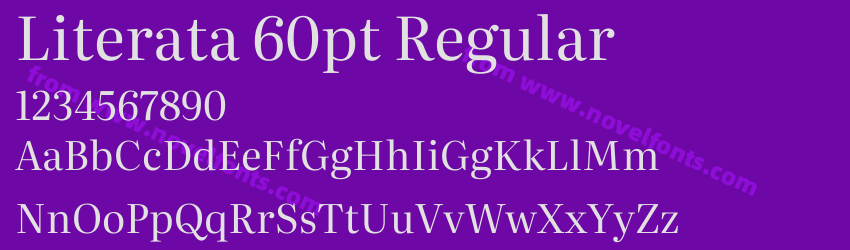 Literata 60pt RegularPreview Literata 60pt RegularPreview