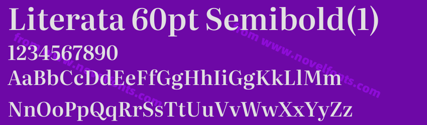 Literata 60pt Semibold(1)Preview Literata 60pt Semibold(1)Preview