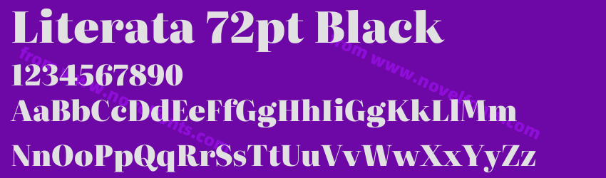 Literata 72pt BlackPreview Literata 72pt BlackPreview
