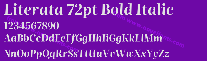 Literata 72pt Bold ItalicPreview Literata 72pt Bold ItalicPreview