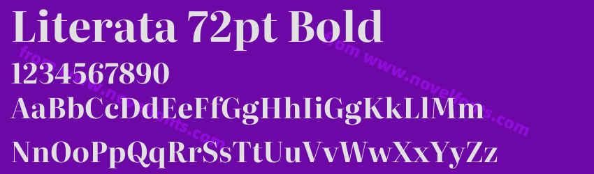 Literata 72pt BoldPreview Literata 72pt BoldPreview