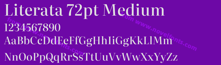 Literata 72pt MediumPreview Literata 72pt MediumPreview