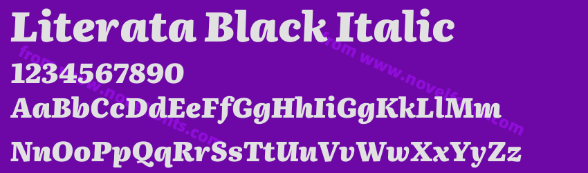 Literata Black ItalicPreview Literata Black ItalicPreview