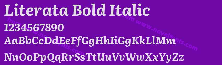 Literata Bold ItalicPreview Literata Bold ItalicPreview