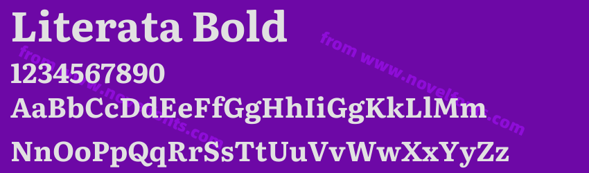 Literata BoldPreview Literata BoldPreview