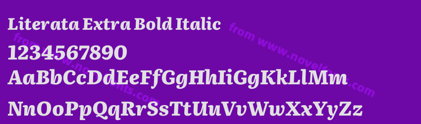 Literata Extra Bold ItalicPreview Literata Extra Bold ItalicPreview