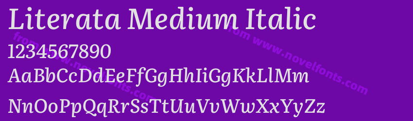 Literata Medium ItalicPreview Literata Medium ItalicPreview