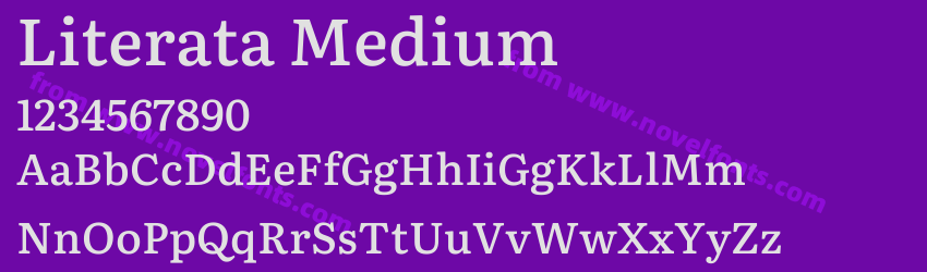 Literata MediumPreview Literata MediumPreview