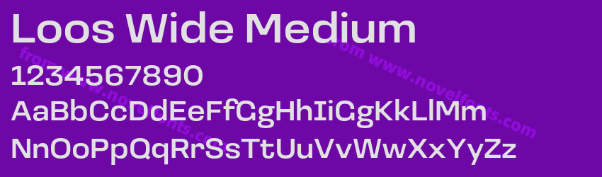 Loos Wide MediumPreview Loos Wide MediumPreview