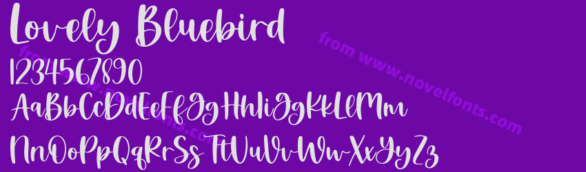 Lovely BluebirdPreview Lovely BluebirdPreview