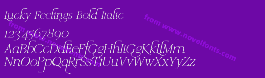 Lucky Feelings Bold ItalicPreview Lucky Feelings Bold ItalicPreview