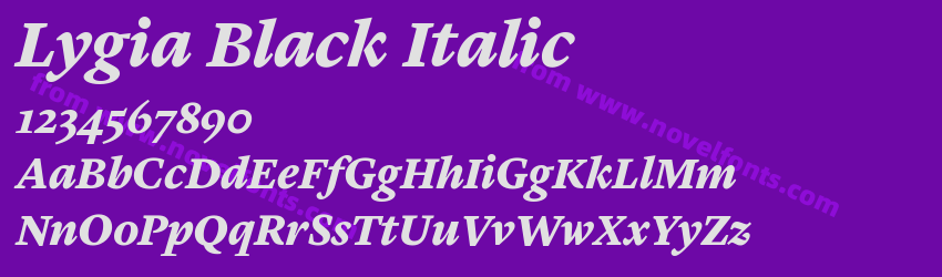 Lygia Black ItalicPreview Lygia Black ItalicPreview
