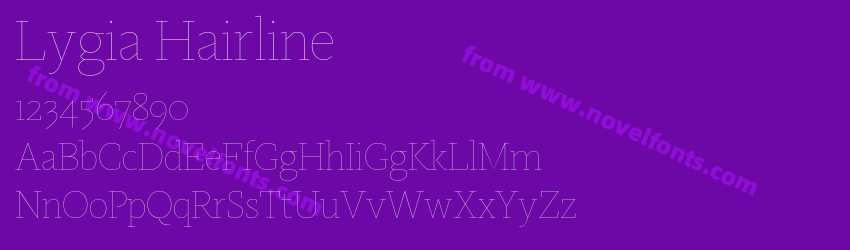 Lygia HairlinePreview Lygia HairlinePreview