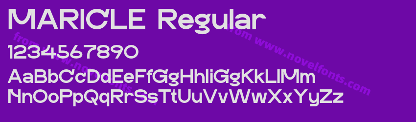 MARICLE RegularPreview MARICLE RegularPreview