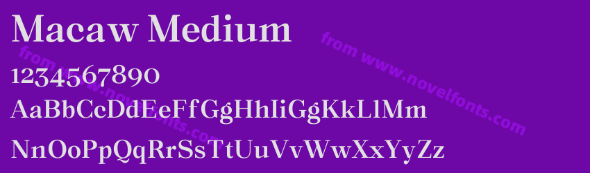 Macaw MediumPreview Macaw MediumPreview