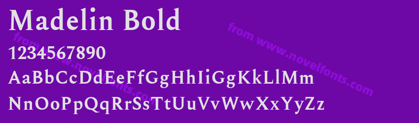 Madelin BoldPreview Madelin BoldPreview