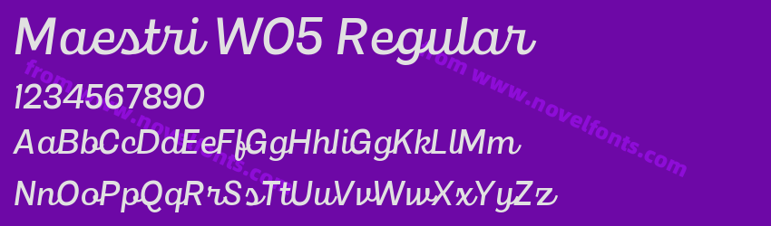 Maestri W05 RegularPreview Maestri W05 RegularPreview