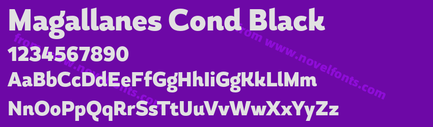 Magallanes Cond BlackPreview Magallanes Cond BlackPreview