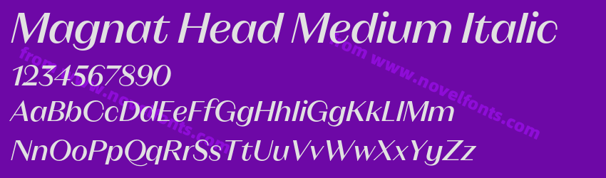 Magnat Head Medium ItalicPreview Magnat Head Medium ItalicPreview