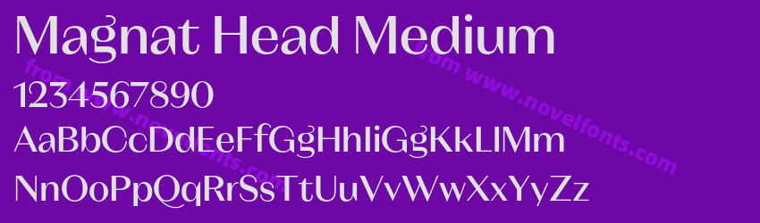 Magnat Head MediumPreview Magnat Head MediumPreview