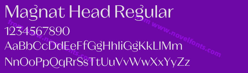 Magnat Head RegularPreview Magnat Head RegularPreview