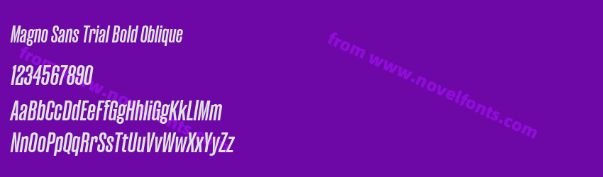 Magno Sans Trial Bold ObliquePreview Magno Sans Trial Bold ObliquePreview