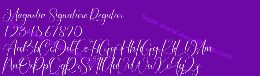 Magnolia Signature RegularPreview Magnolia Signature RegularPreview