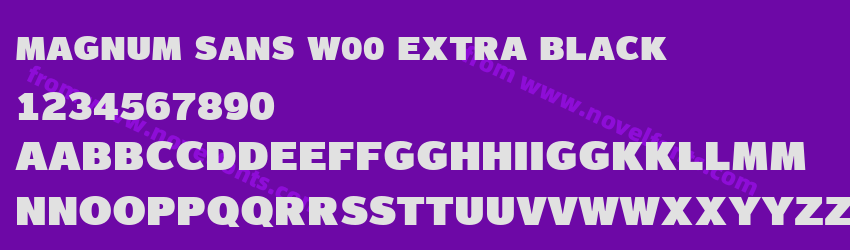 Magnum Sans W00 Extra BlackPreview Magnum Sans W00 Extra BlackPreview