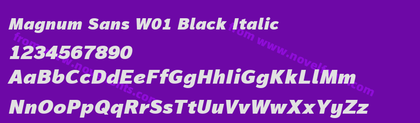 Magnum Sans W01 Black ItalicPreview Magnum Sans W01 Black ItalicPreview