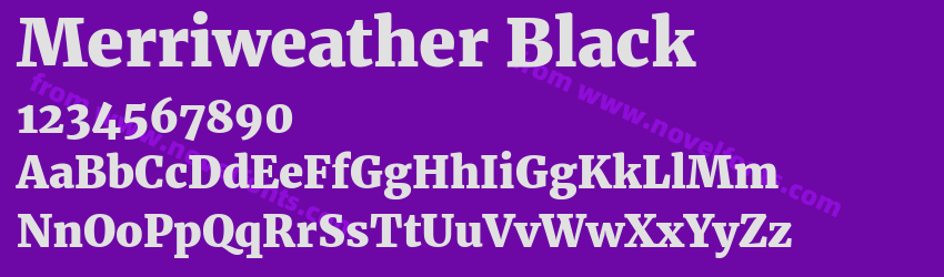 Merriweather BlackPreview