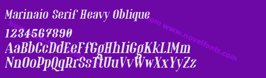 Marinaio Serif Heavy ObliquePreview Marinaio Serif Heavy ObliquePreview