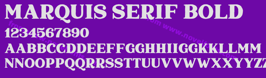Marquis Serif BoldPreview Marquis Serif BoldPreview