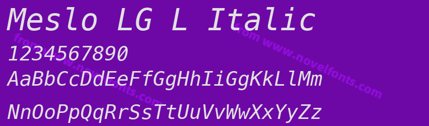 Meslo LG L ItalicPreview