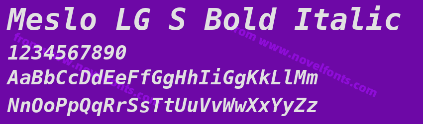 Meslo LG S Bold ItalicPreview