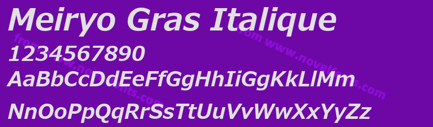 Meiryo Gras ItaliquePreview Meiryo Gras ItaliquePreview