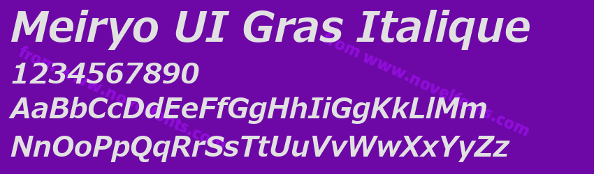 Meiryo UI Gras ItaliquePreview Meiryo UI Gras ItaliquePreview