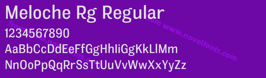 Meloche Rg RegularPreview Meloche Rg RegularPreview