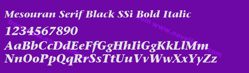 Mesouran Serif Black SSi Bold ItalicPreview