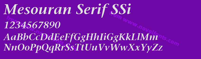 Mesouran Serif SSiPreview