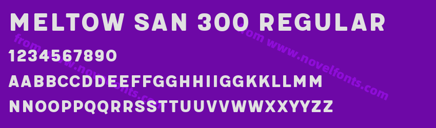 Meltow San 300 RegularPreview Meltow San 300 RegularPreview