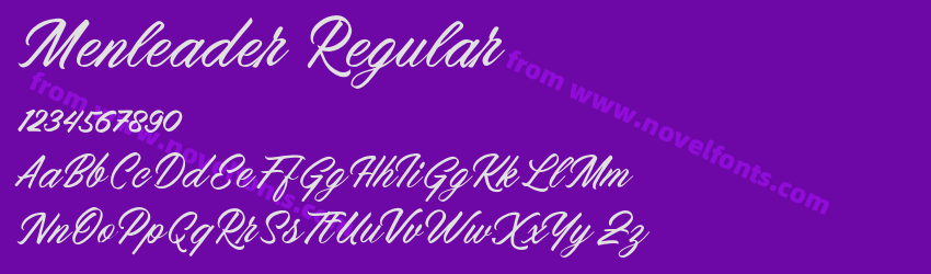 Menleader RegularPreview Menleader RegularPreview