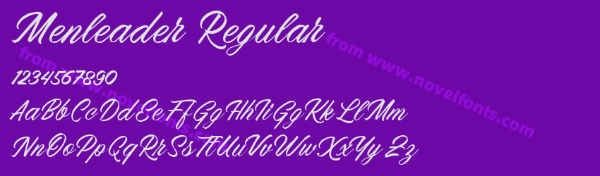 Menleader RegularPreview Menleader RegularPreview
