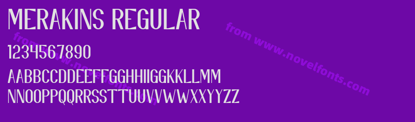 Merakins RegularPreview Merakins RegularPreview