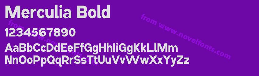 Merculia BoldPreview Merculia BoldPreview